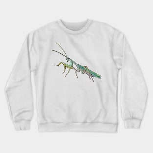 Sphodromantis lineola male Crewneck Sweatshirt